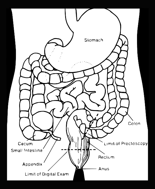 3 facons de vivre heureux et en bonne sante avec le syndrome du colon irritable