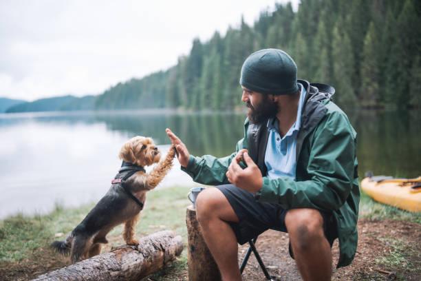 Apprenez a dresser votre chien en seulement 15 minutes par jour