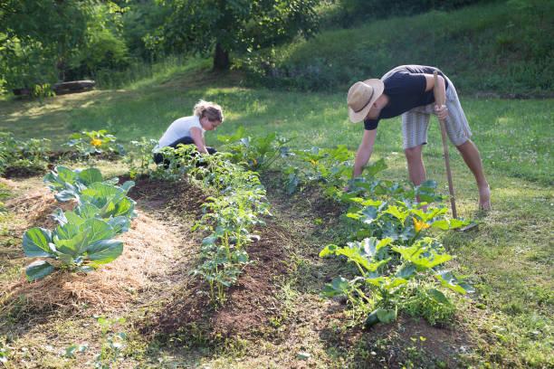 C est quoi la permaculture