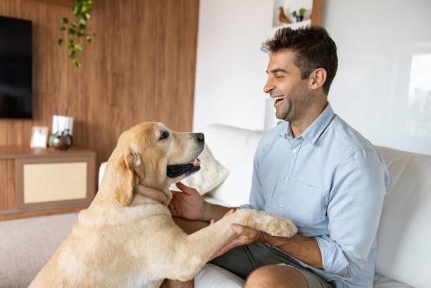 Comment comprendre le langage corporel de son chien