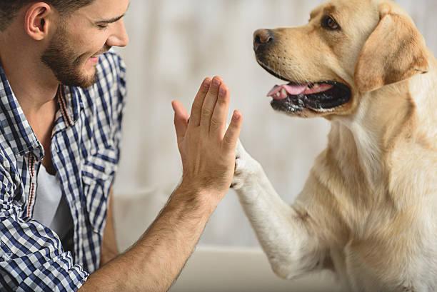 Comment creer un lien fort avec son chien