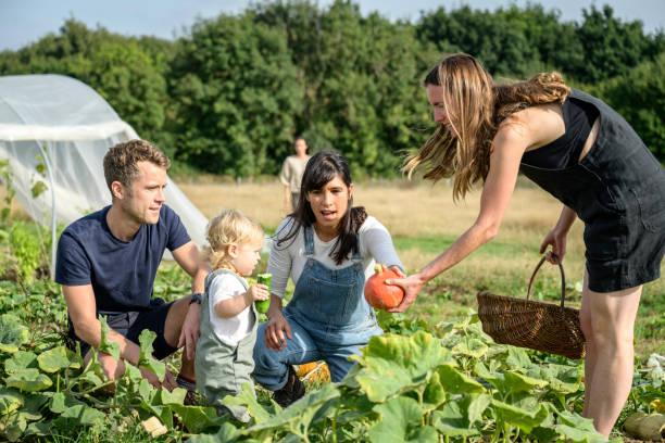 Comment devenir specialiste en permaculture 1