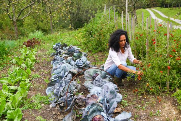Comment se declarer en tant que consultant en permaculture