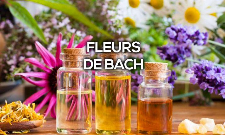 Conseiller en fleurs de bach