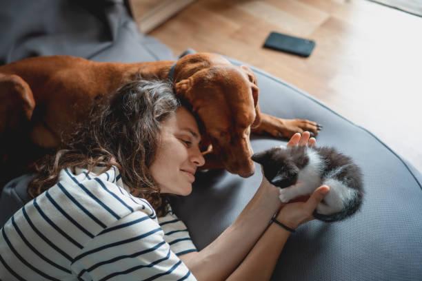 Dresser son chien pour la therapie