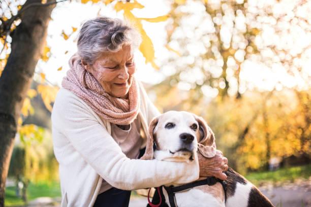 Eduquer son chien pour les personnes agees