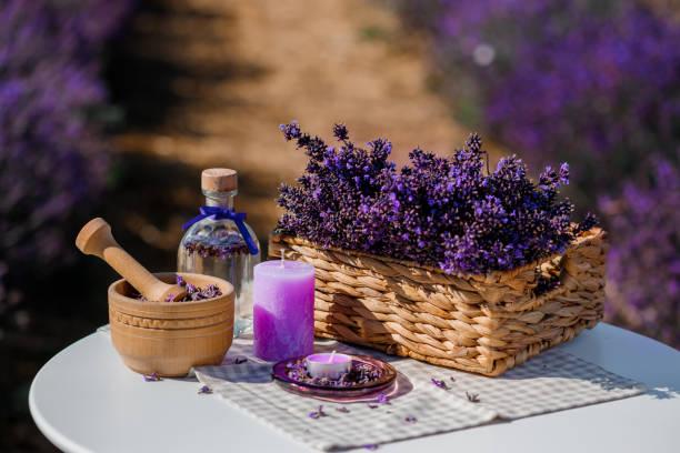 Formation aromatherapie 2
