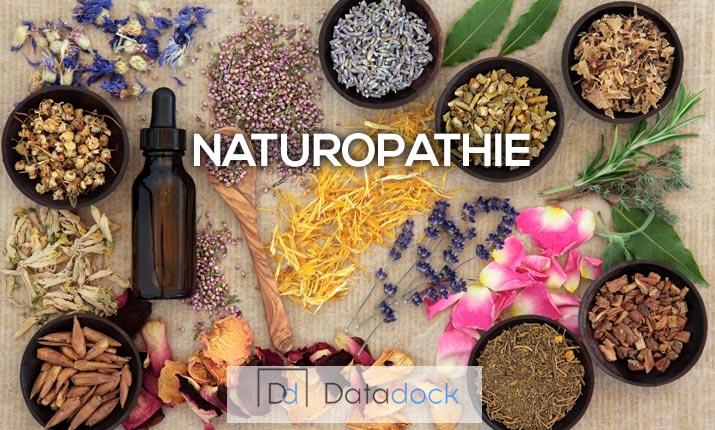 Formation complete en naturopathie