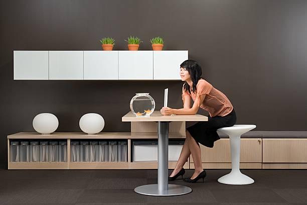 Formation feng shui 2
