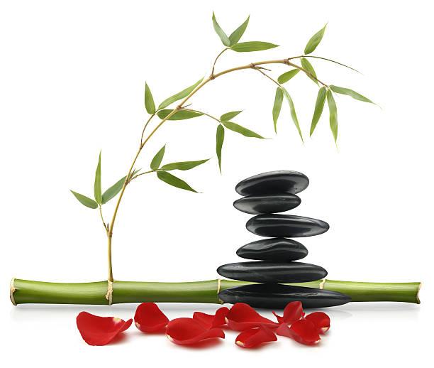 Formation feng shui pas chere 2