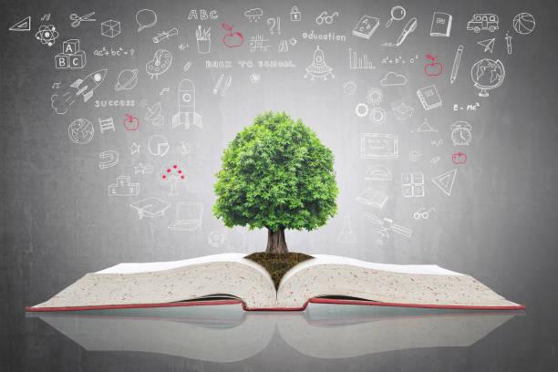 Formation naturopathie 5