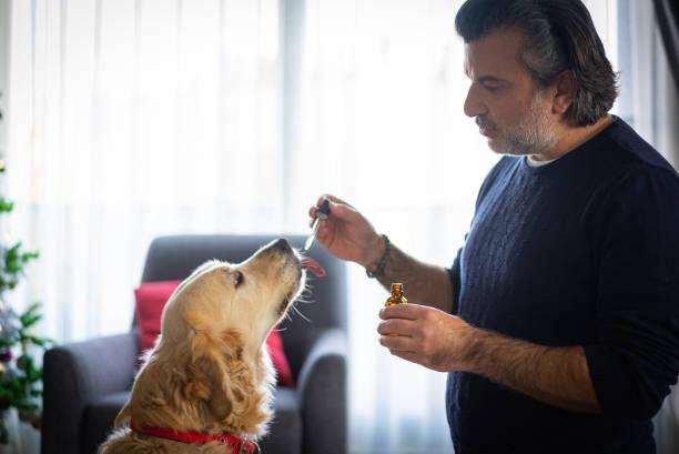 Formation naturopathie animaliere en ligne 1