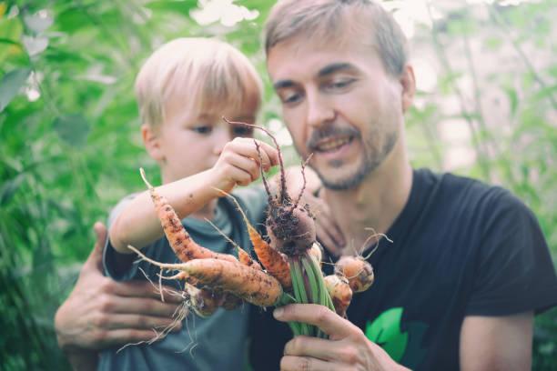 Formation permaculture 1