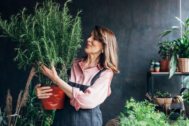 Formation phytotherapie pas chere 1