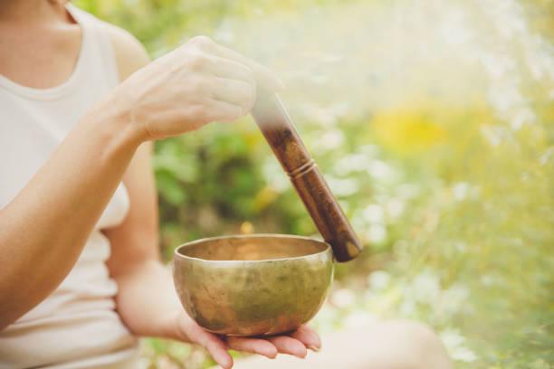 L histoire de l ayurveda 1