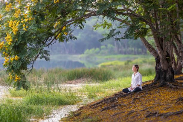 Meditation 10