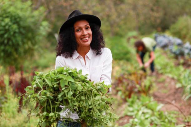 Meilleure formation permaculture pas chere