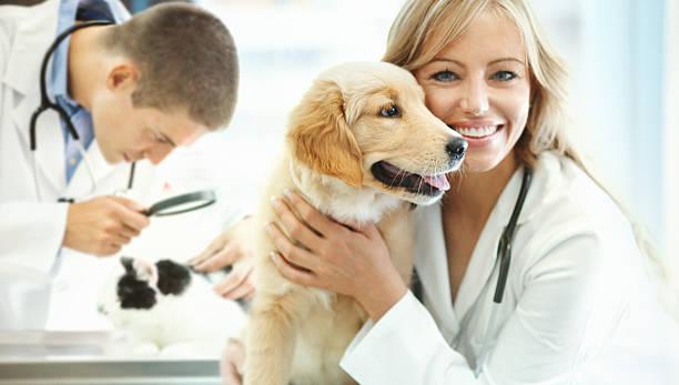 Naturopathe animalier auto entreprise