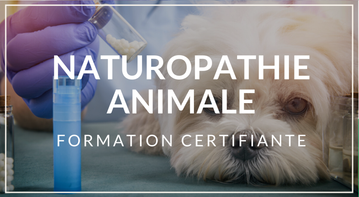 Naturopathie animaliere 2