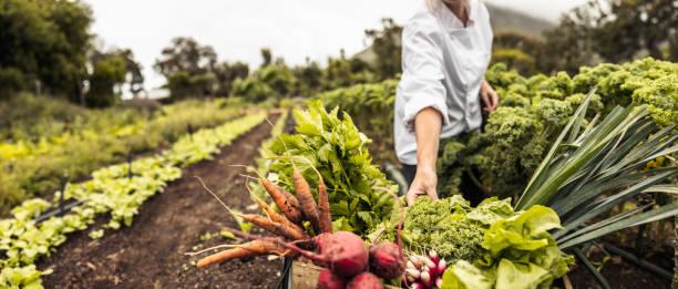 Nutrition un peu d histoire