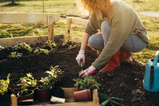 Permaculture 8