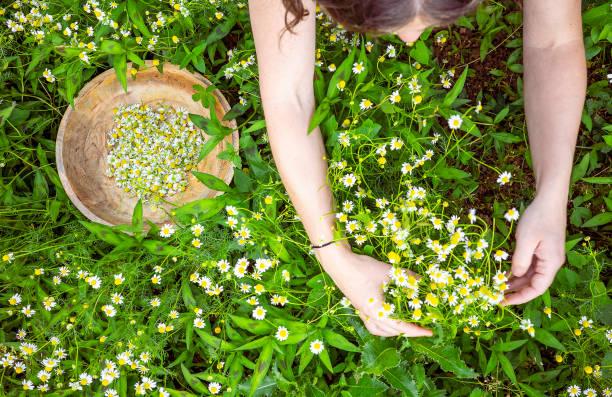 Quel code ape pour les naturopathes