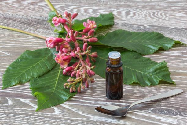 Quel code ape pour un conseiller en fleurs de bach