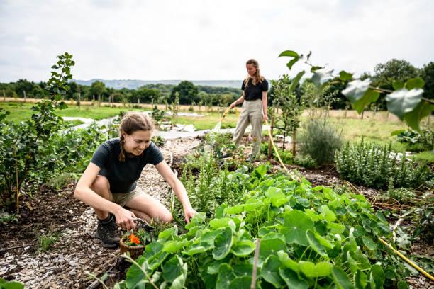 Quel code ape pour un consultant en permaculture