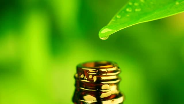 Quel statut d entreprise pour un conseiller en aromatherapie