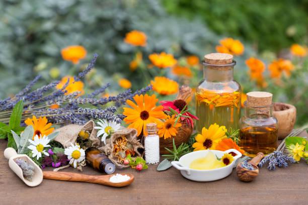 Quelles sont les bases de la naturopathie