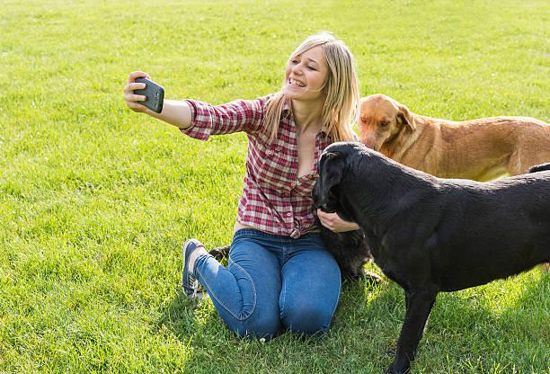 Videos de dressage de chien